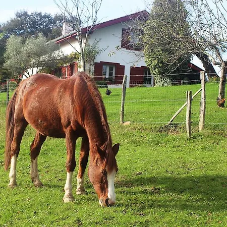 Chambres D'hotes Mirikuborda Larressore